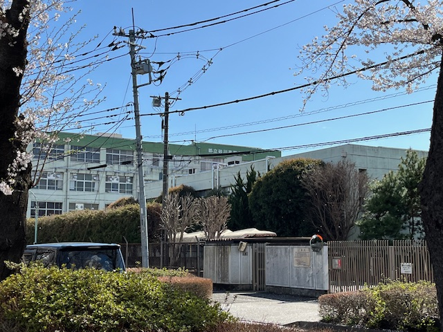 undefined - 2026-04-02T150356.978